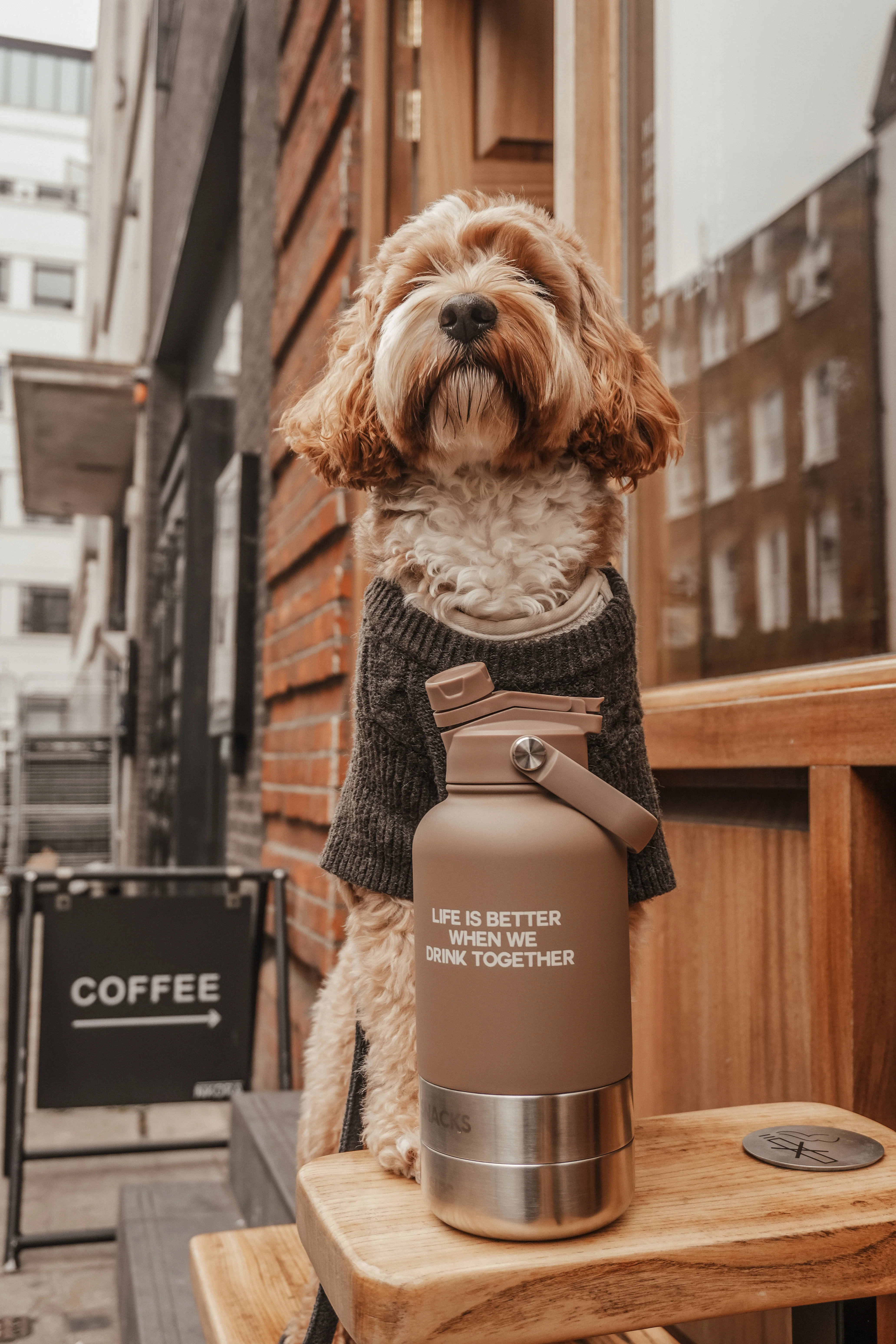 The Bowl Bottle 2.0 | 3-in-1 Travel Bottle - Image 13