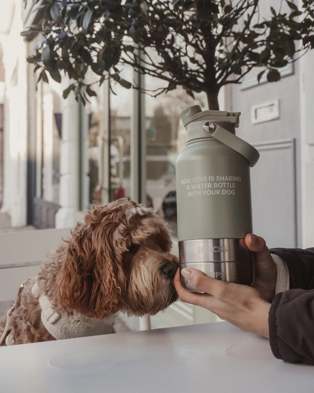 The Bowl Bottle 2.0 | 3-in-1 Travel Bottle - Image 15