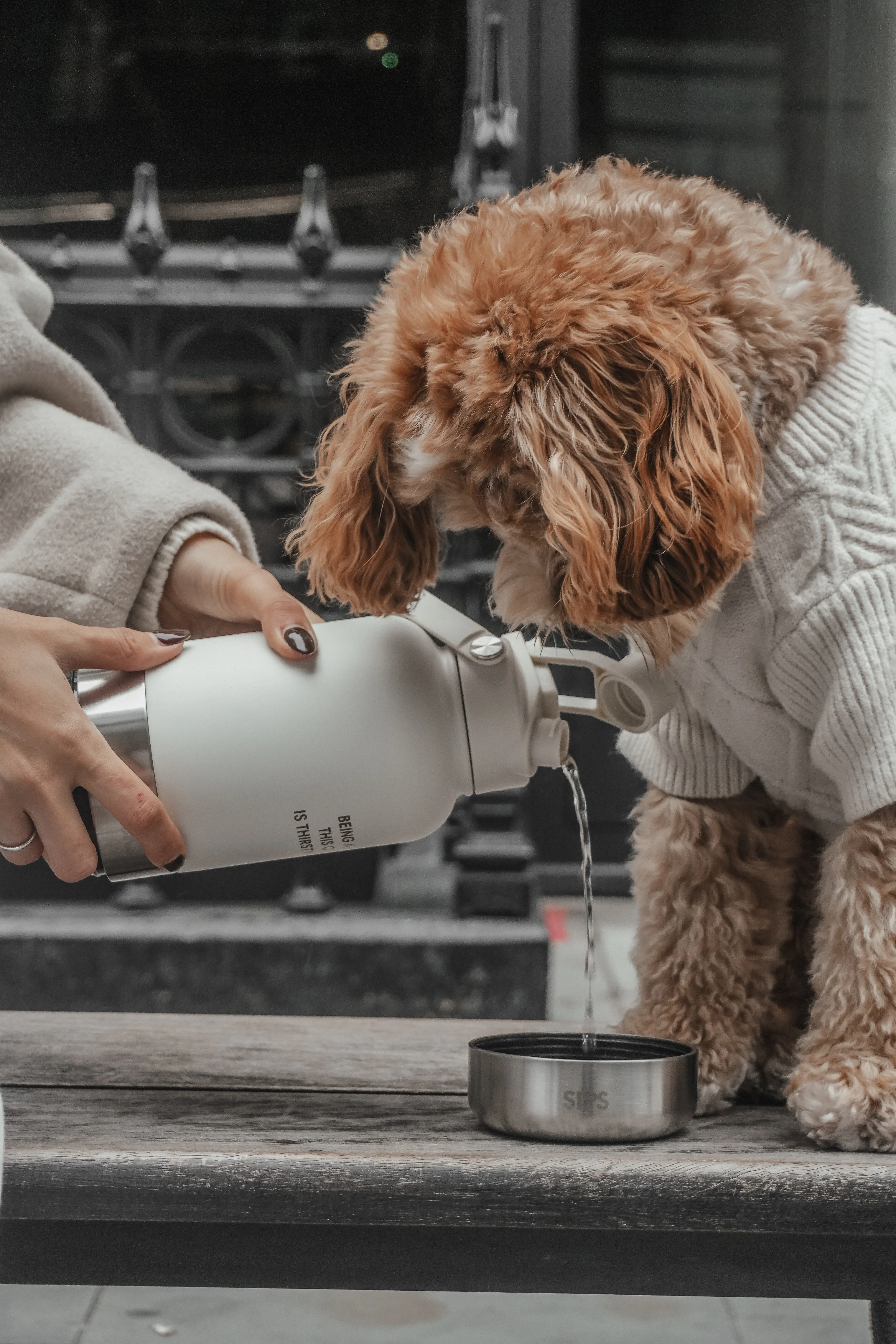 The Bowl Bottle 2.0 | 3-in-1 Travel Bottle - Image 5