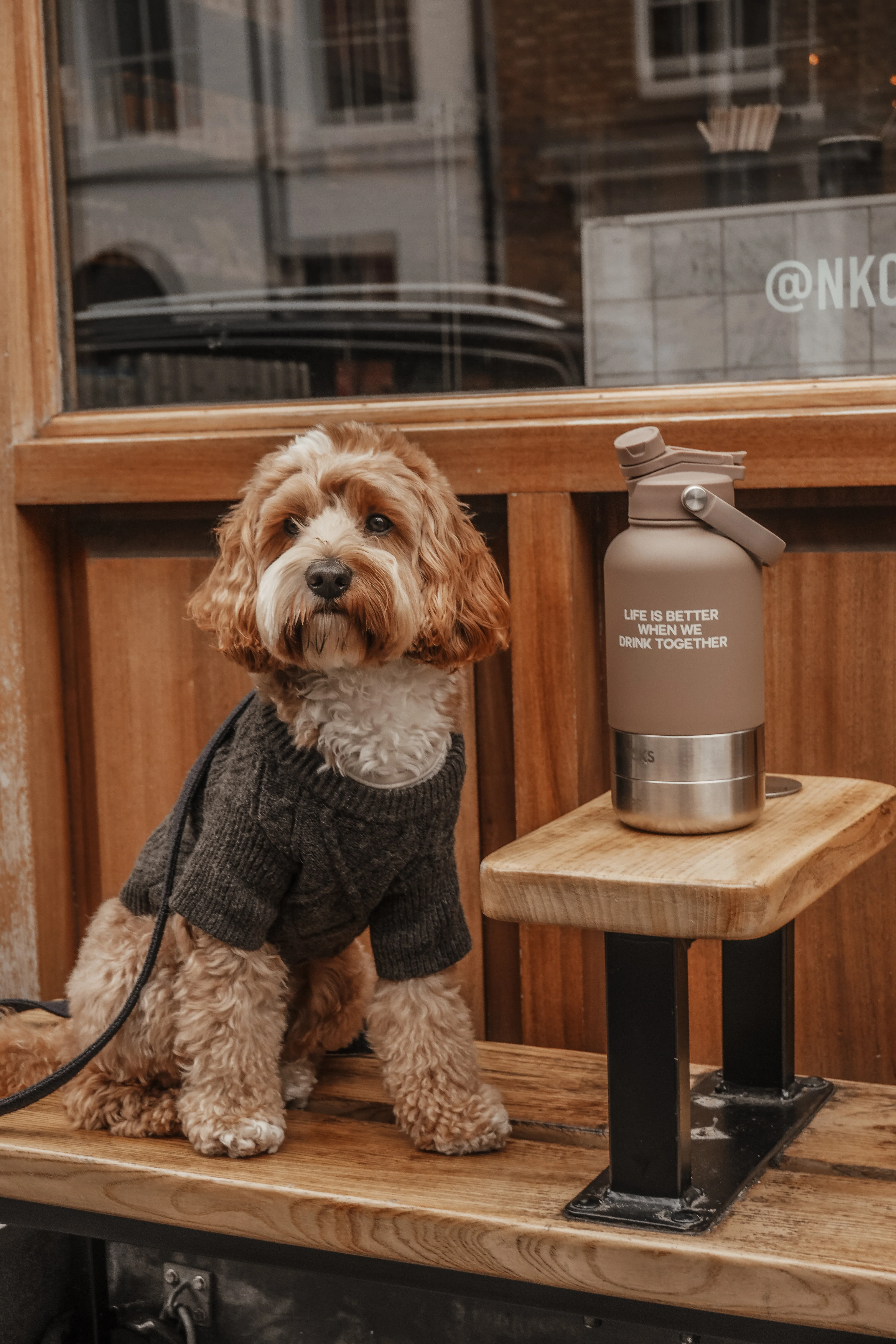 The Bowl Bottle 2.0 | 3-in-1 Travel Bottle - Image 7