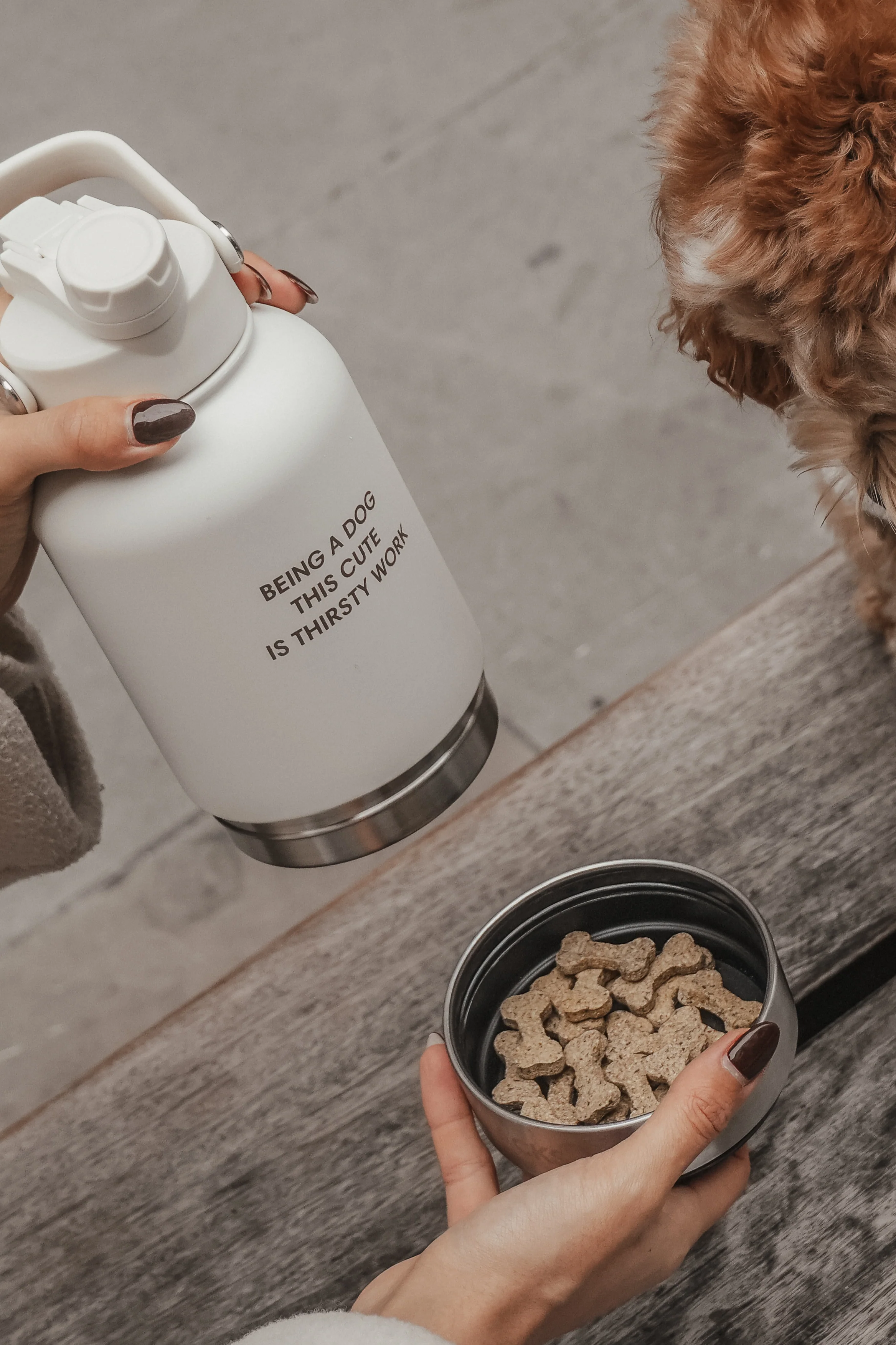 The Bowl Bottle 2.0 | 3-in-1 Travel Bottle - Image 8