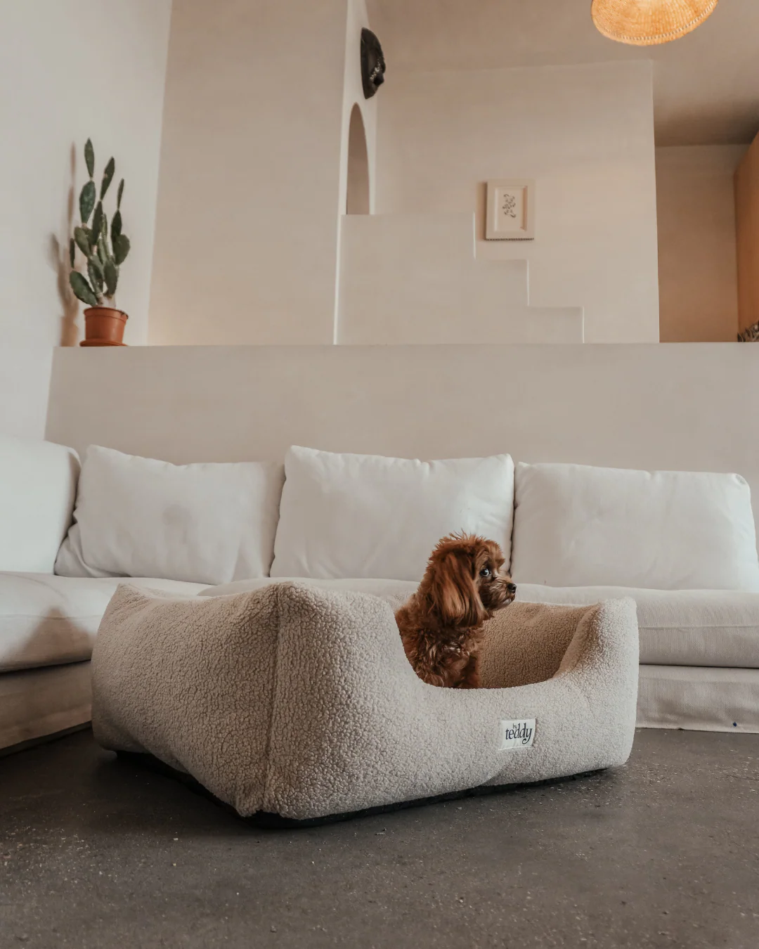 The Cosy Bed - Image 5