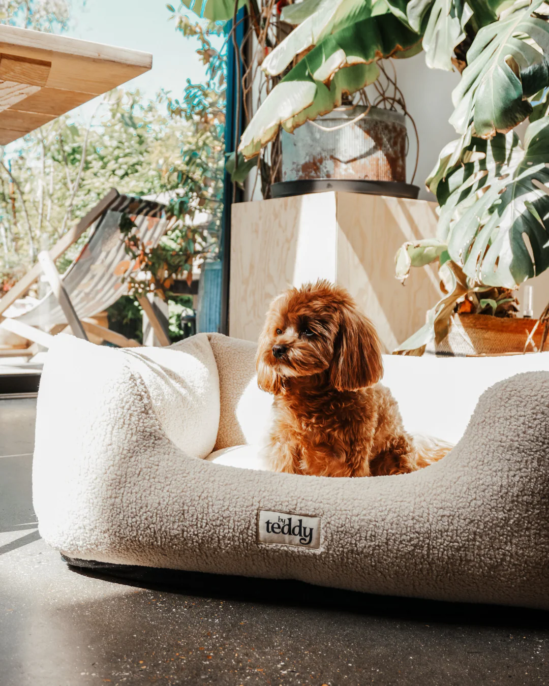 The Cosy Bed - Image 7