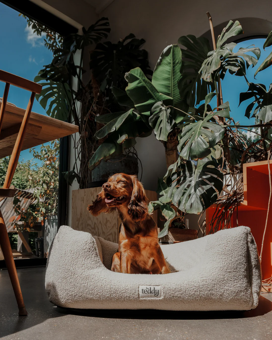 The Cosy Bed - Image 8