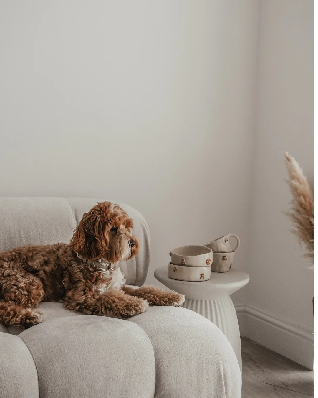 The Cosy Café Dog Bowl - Naetive x By Teddy - Image 6