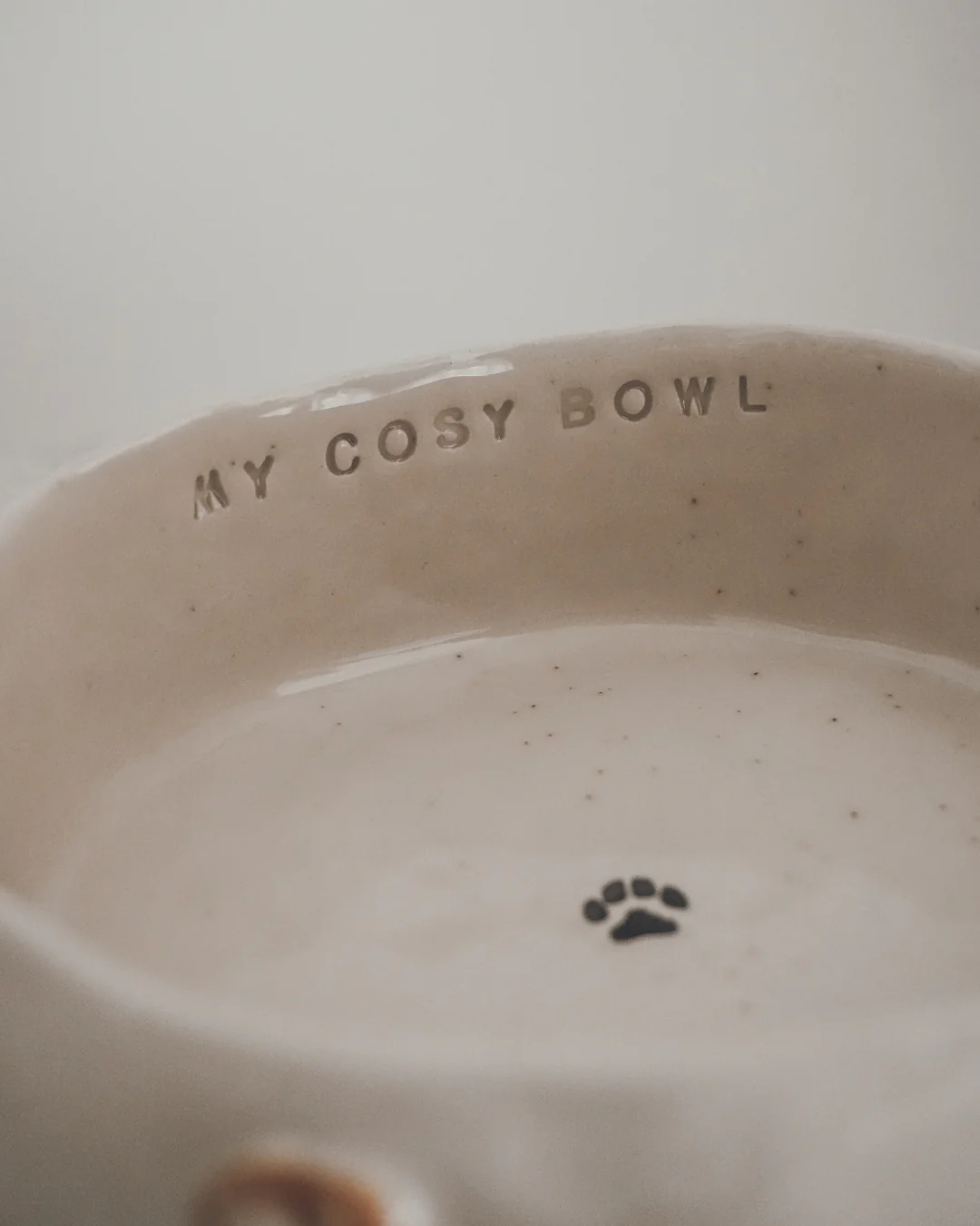 The Cosy Café Dog Bowl - Naetive x By Teddy - Image 7