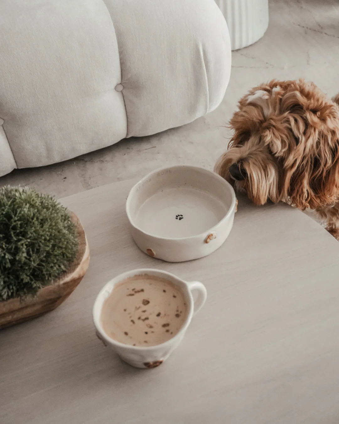 The Cosy Café Dog Bowl - Naetive x By Teddy - Image 8