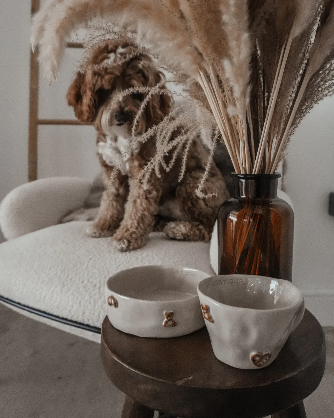 The Cosy Café Dog Bowl - Naetive x By Teddy - Image 9