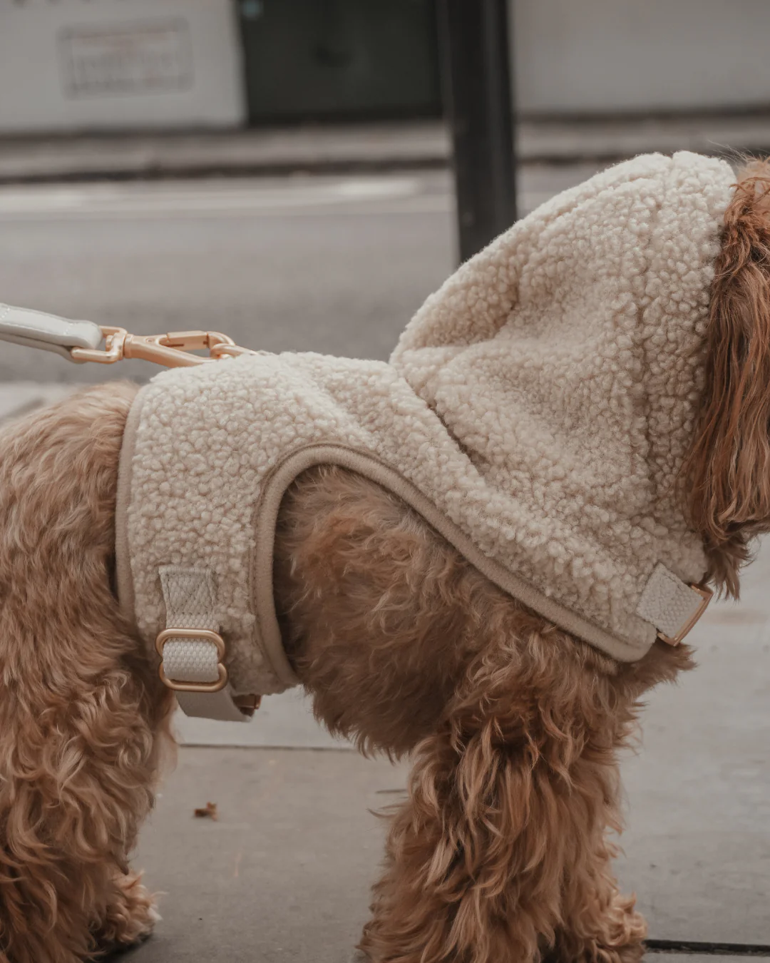 The Cosy Hoodie Harness - Image 10
