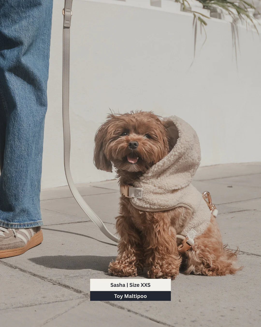 The Cosy Hoodie Harness - Image 11