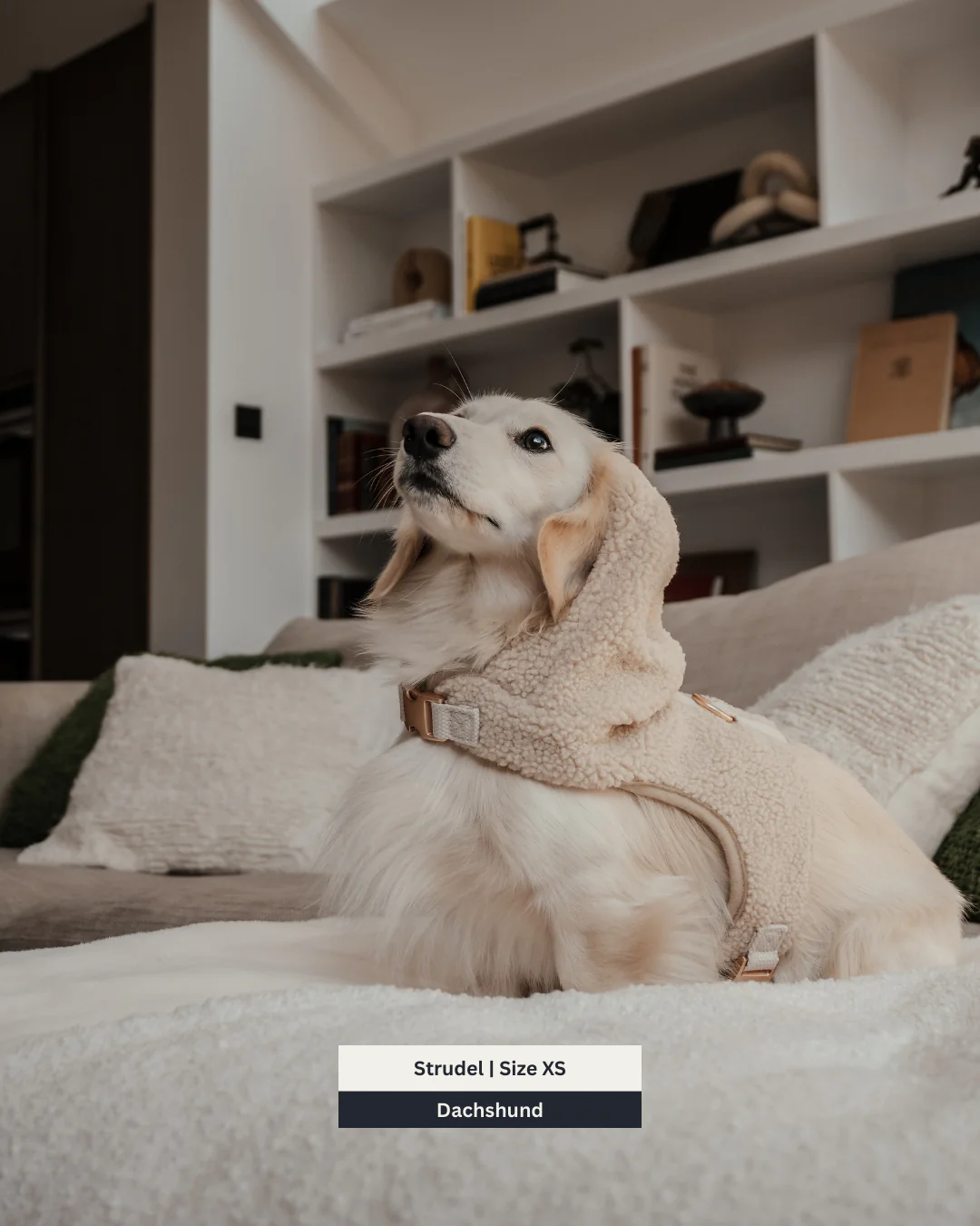 The Cosy Hoodie Harness - Image 13