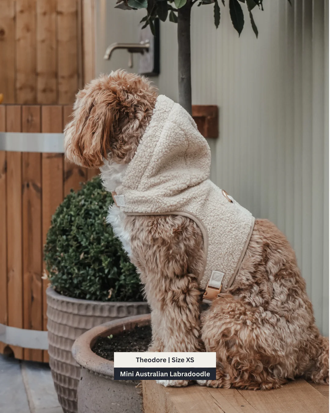 The Cosy Hoodie Harness - Image 14