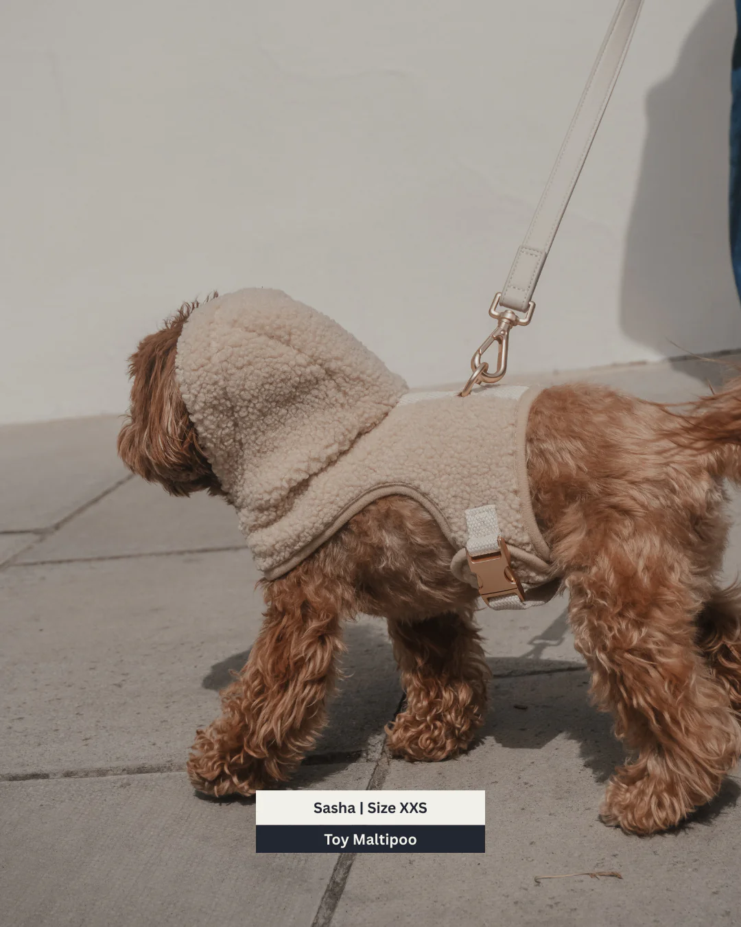 The Cosy Hoodie Harness - Image 3