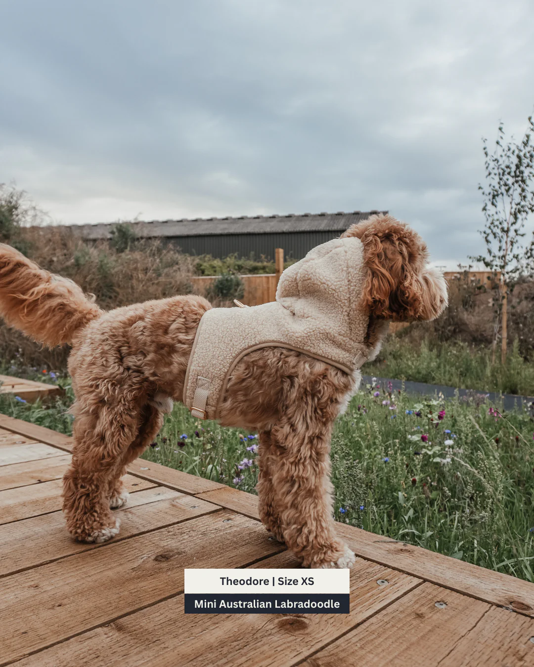 The Cosy Hoodie Harness - Image 4