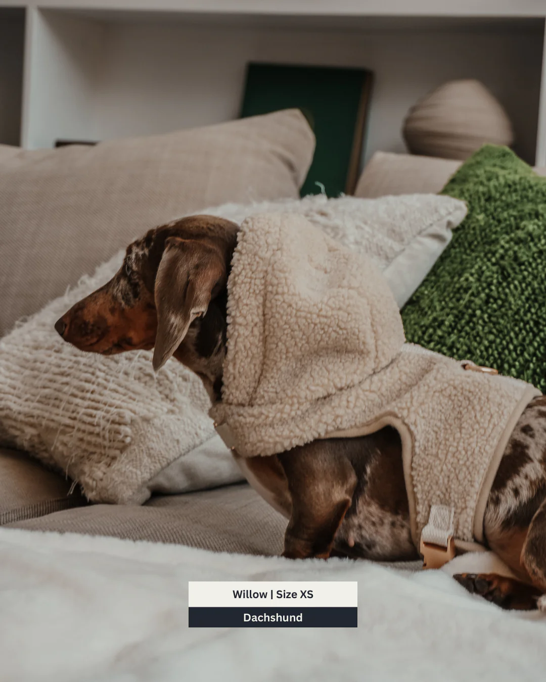 The Cosy Hoodie Harness - Image 5