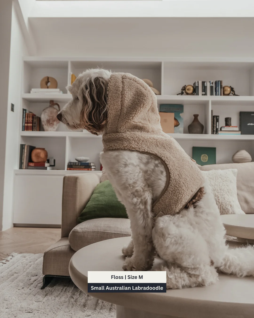 The Cosy Hoodie Harness - Image 6