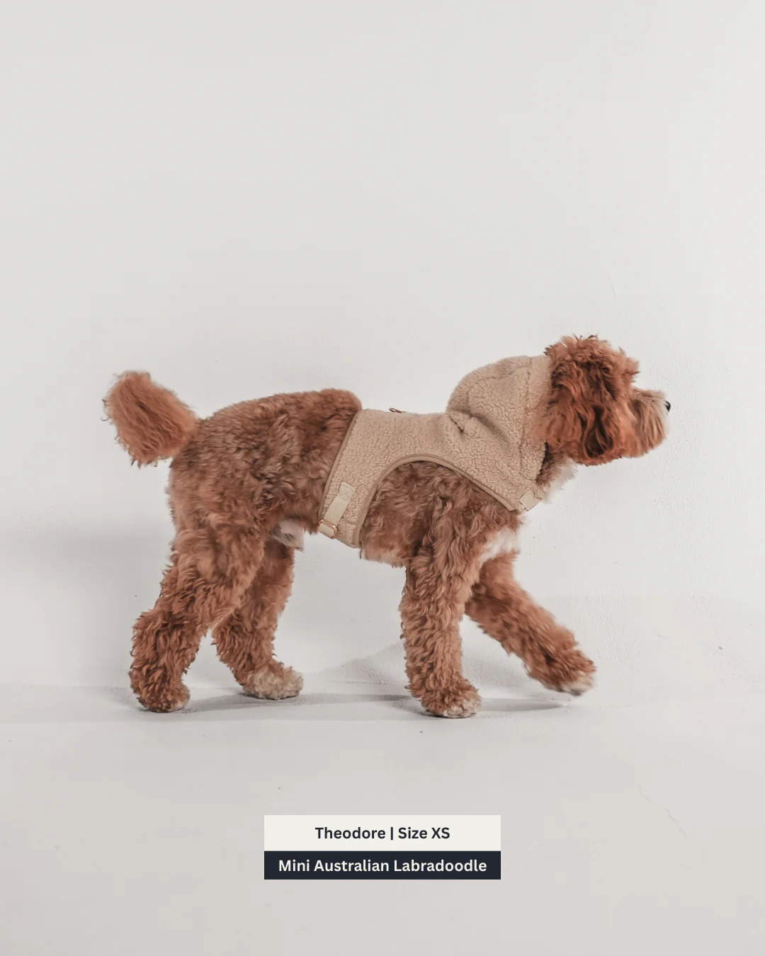 The Cosy Hoodie Harness - Image 9