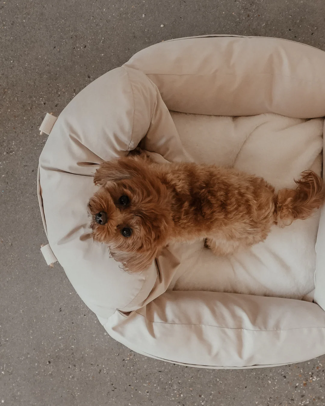 Marshmallow | The Puffer Car Seat - Image 10