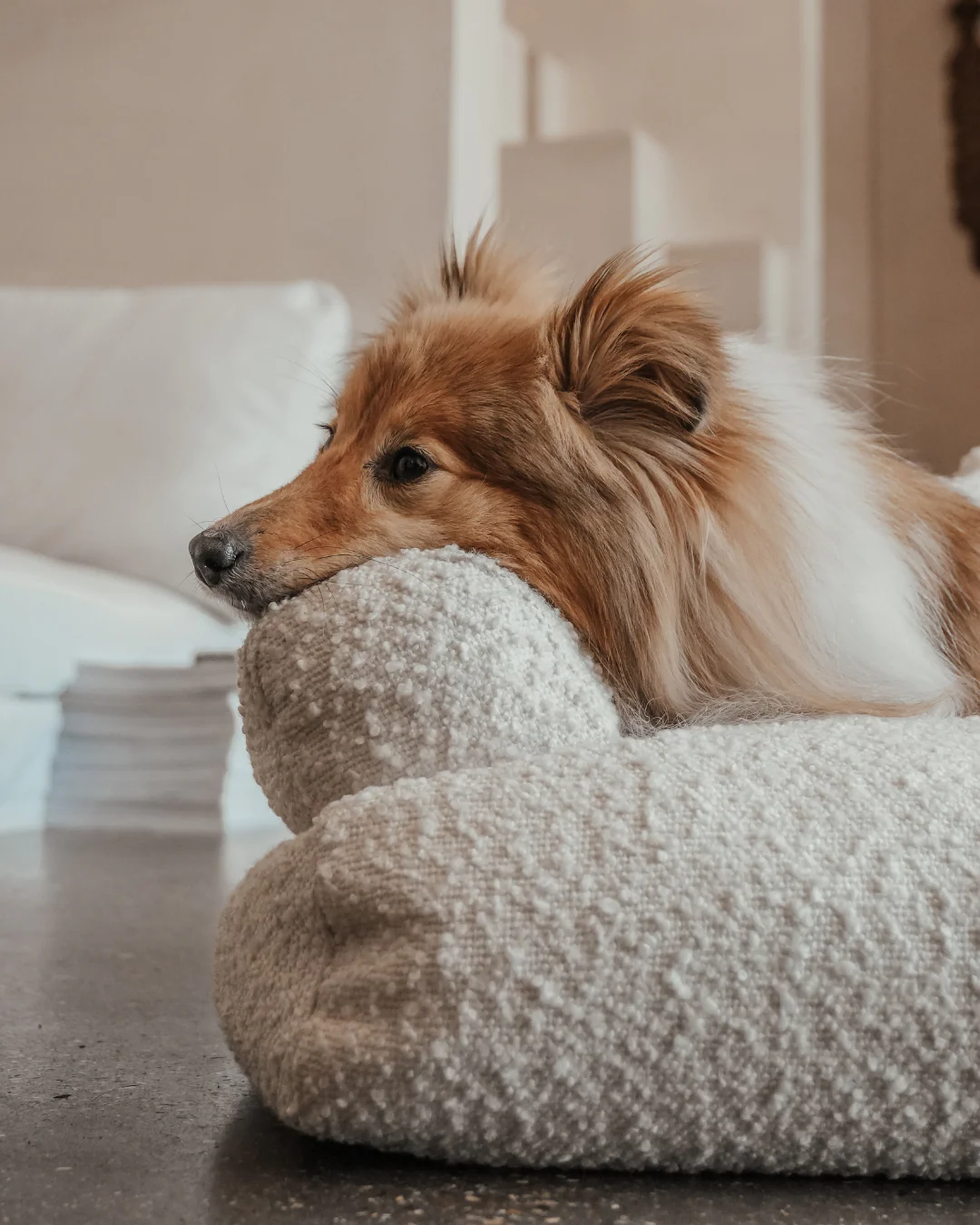 Marshmallow | The Teddington Sofa - Image 12