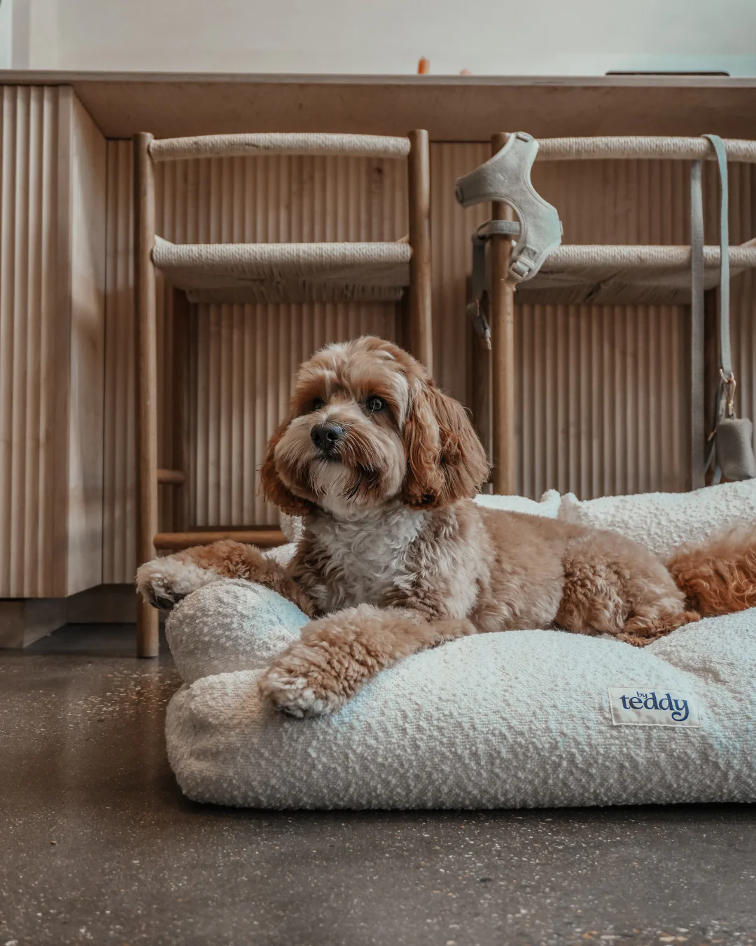 Marshmallow | The Teddington Sofa - Image 5