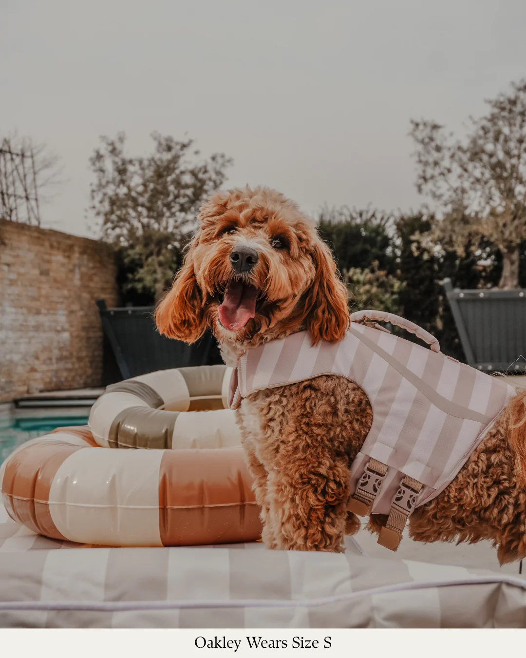 The Tide Rider Life Jacket - Image 10