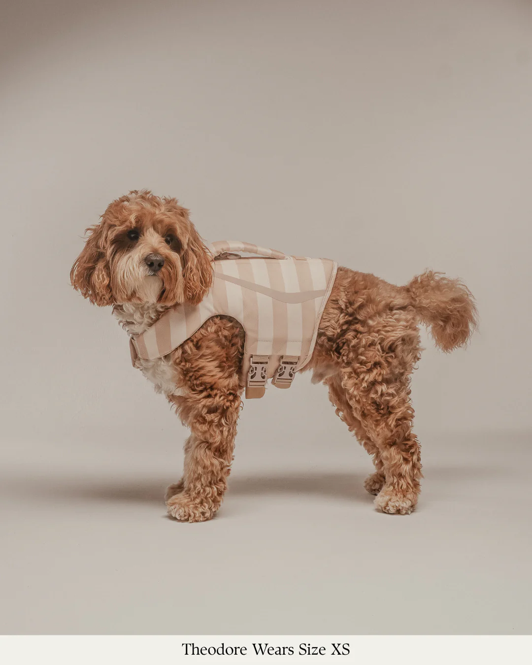 The Tide Rider Life Jacket - Image 3