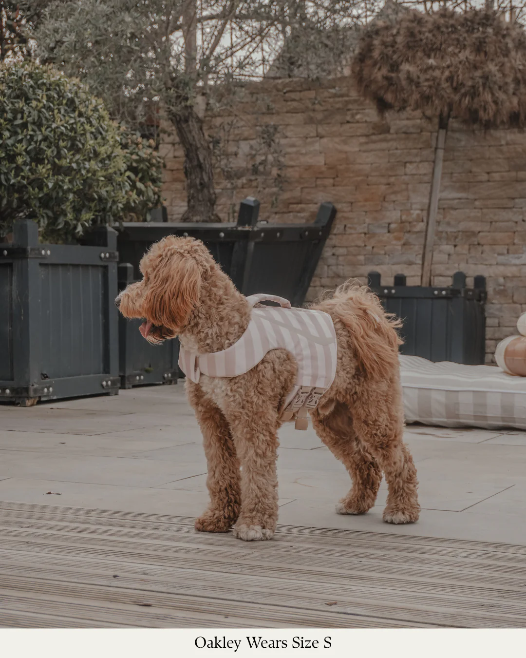 The Tide Rider Life Jacket - Image 6