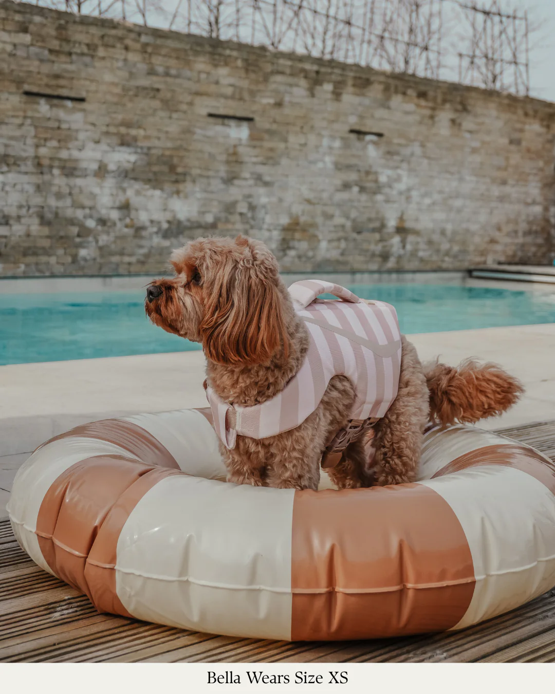 The Tide Rider Life Jacket - Image 9