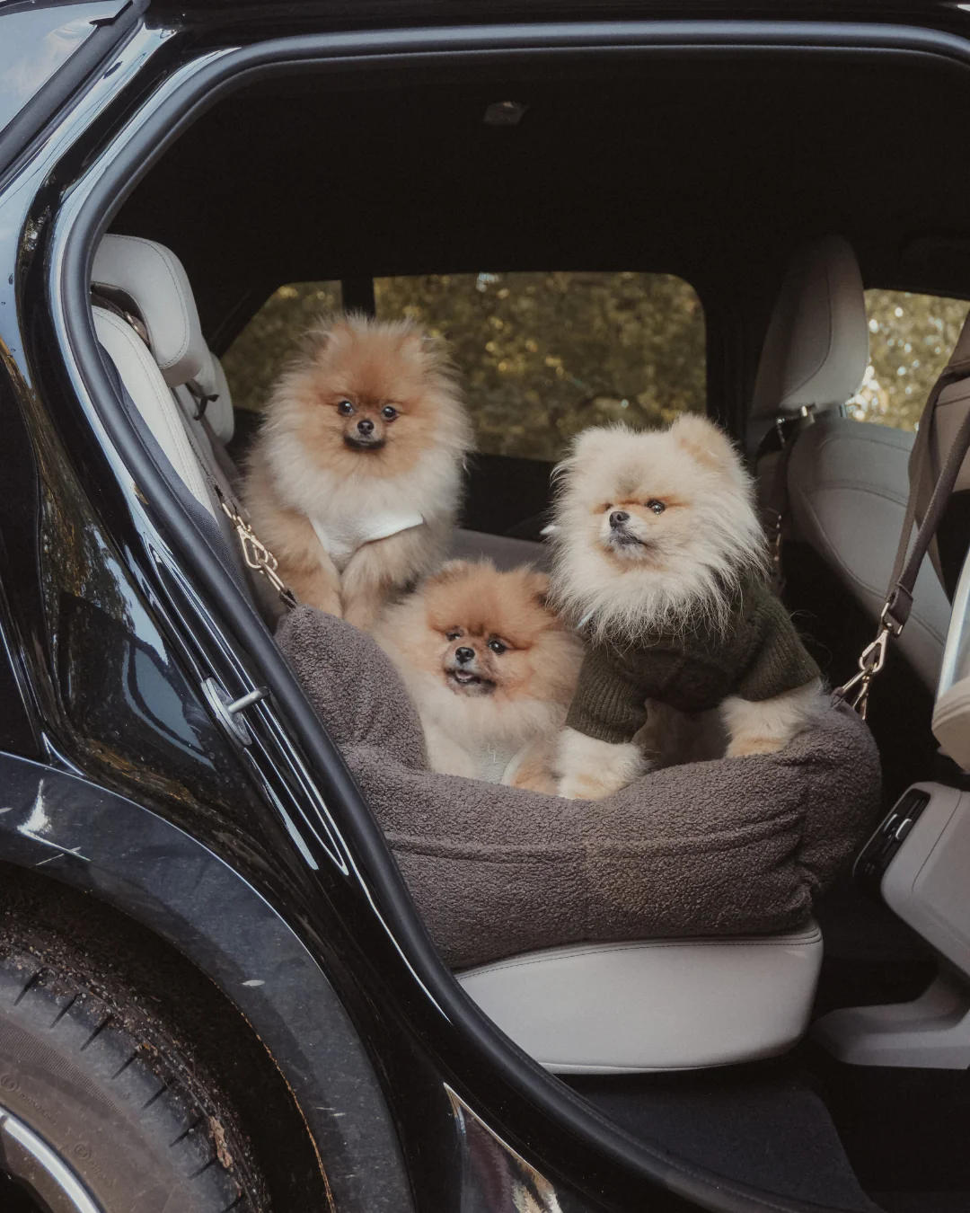 Car Seat Adjustable Safety Clip (Add-On) - Image 3