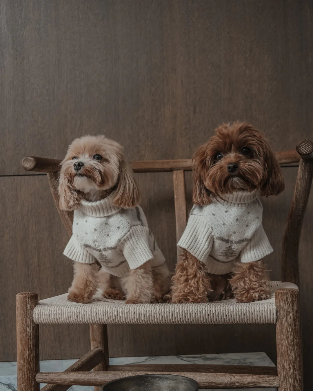 Winter Trees | The Capsule Roll Neck Knit - Image 3