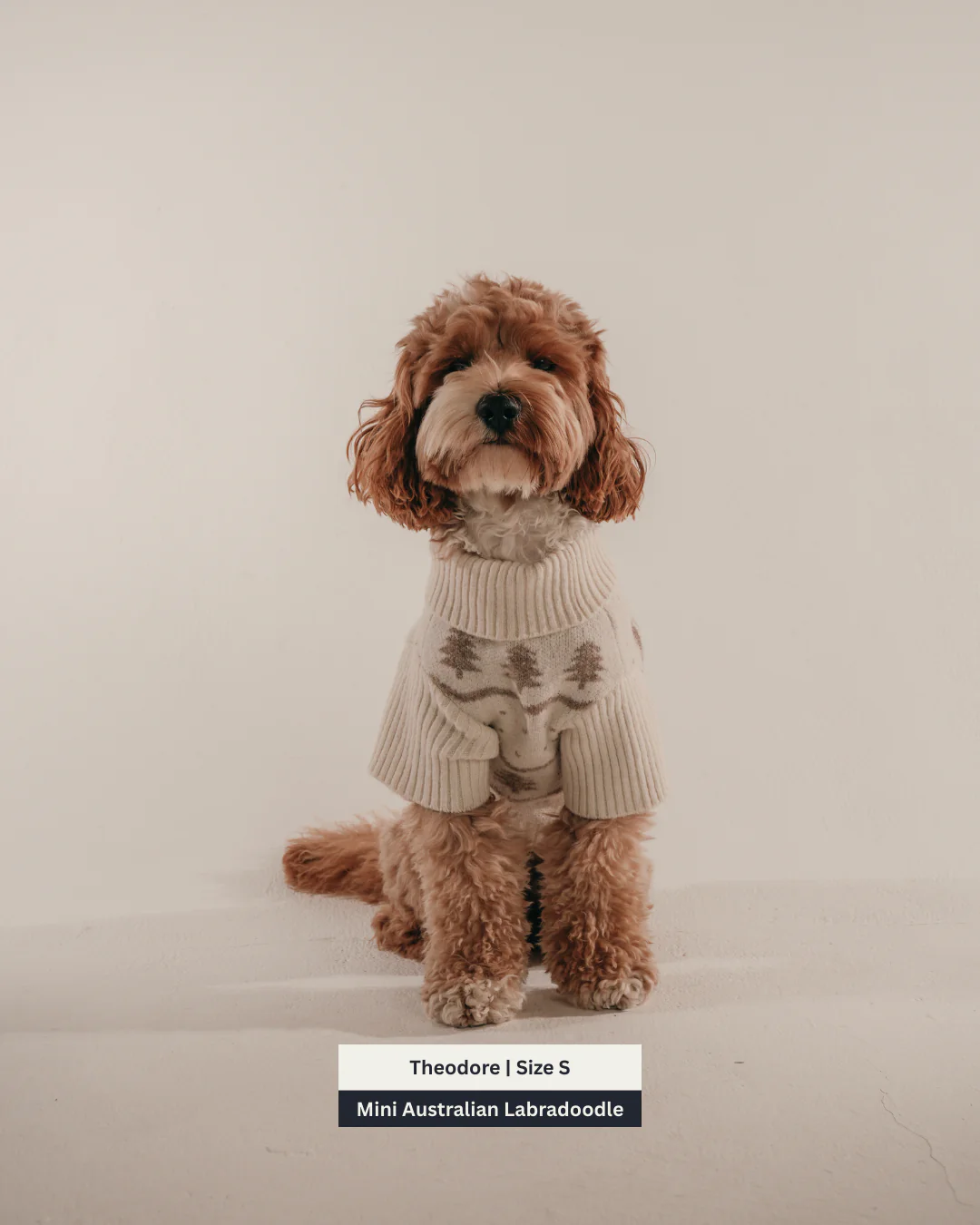 Winter Trees | The Capsule Roll Neck Knit - Image 4