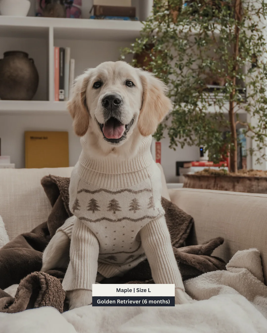 Winter Trees | The Capsule Roll Neck Knit - Image 7