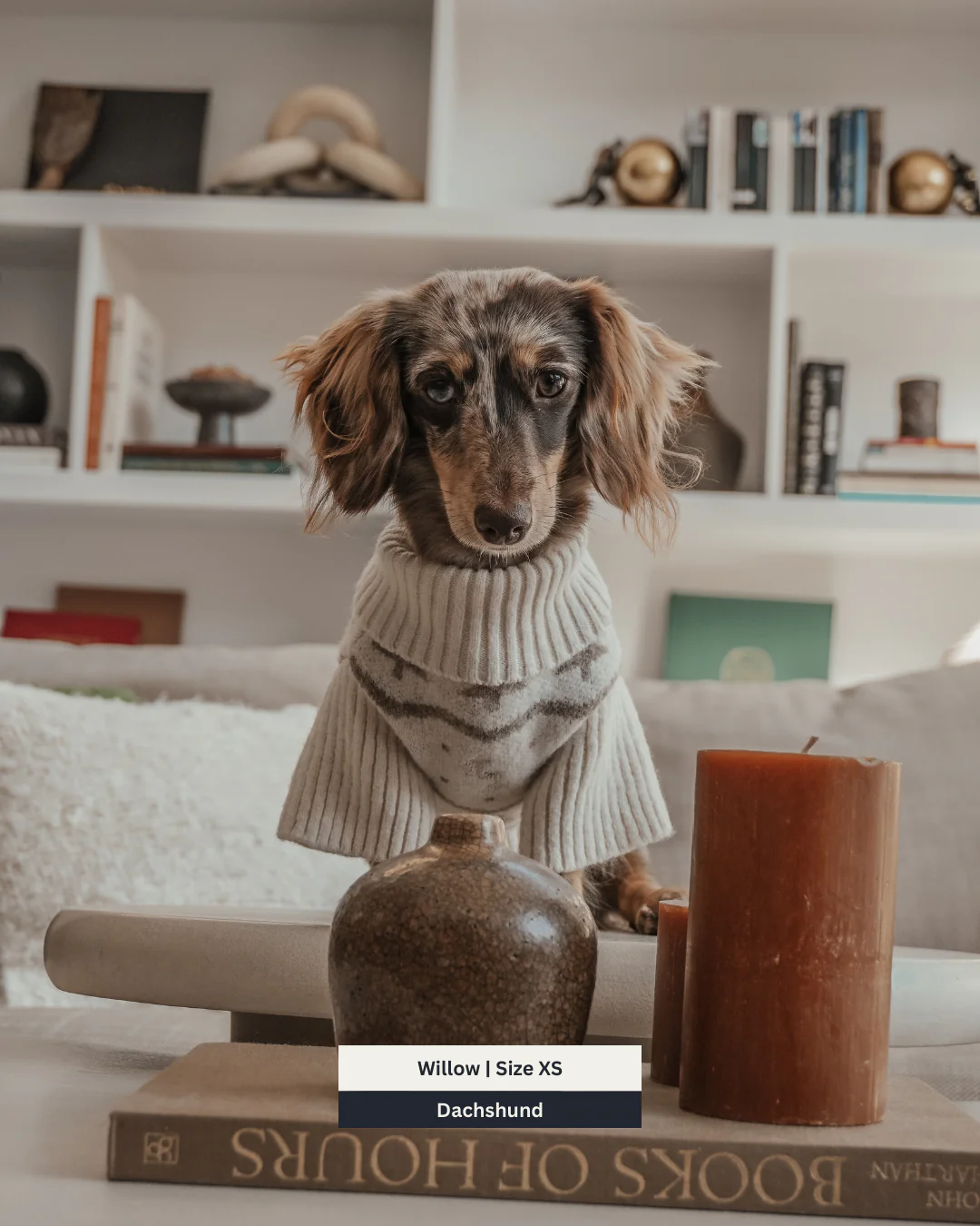 Winter Trees | The Capsule Roll Neck Knit - Image 8